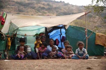 Bharat Intelligence, Labour Day 2026, tribal workers income, Phala platform, Nashik agriculture jobs, agritech India