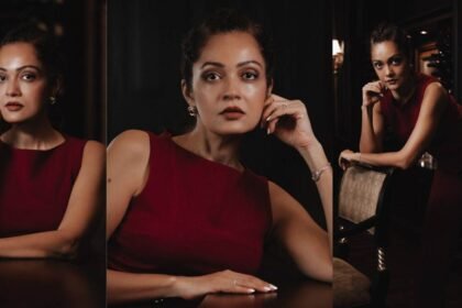 Sheena Chohan, Sheena Chohan Hollywood, international photoshoot, Indian actress international film, Sheena Chohan next movie, Bollywood to Hollywood