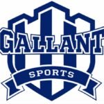 Gallant Sports, GallantBounce, sports infrastructure India, synthetic turf, synthetic sports fields, Nike Grind, recycled rubber, sports turf, sports facilities India, sustainable sports infrastructure, football turf, hockey fields, athletics tracks, sports surfaces, recycled materials, sports field infill, sustainable sports fields, India sports infrastructure, outdoor sports, sports facilities